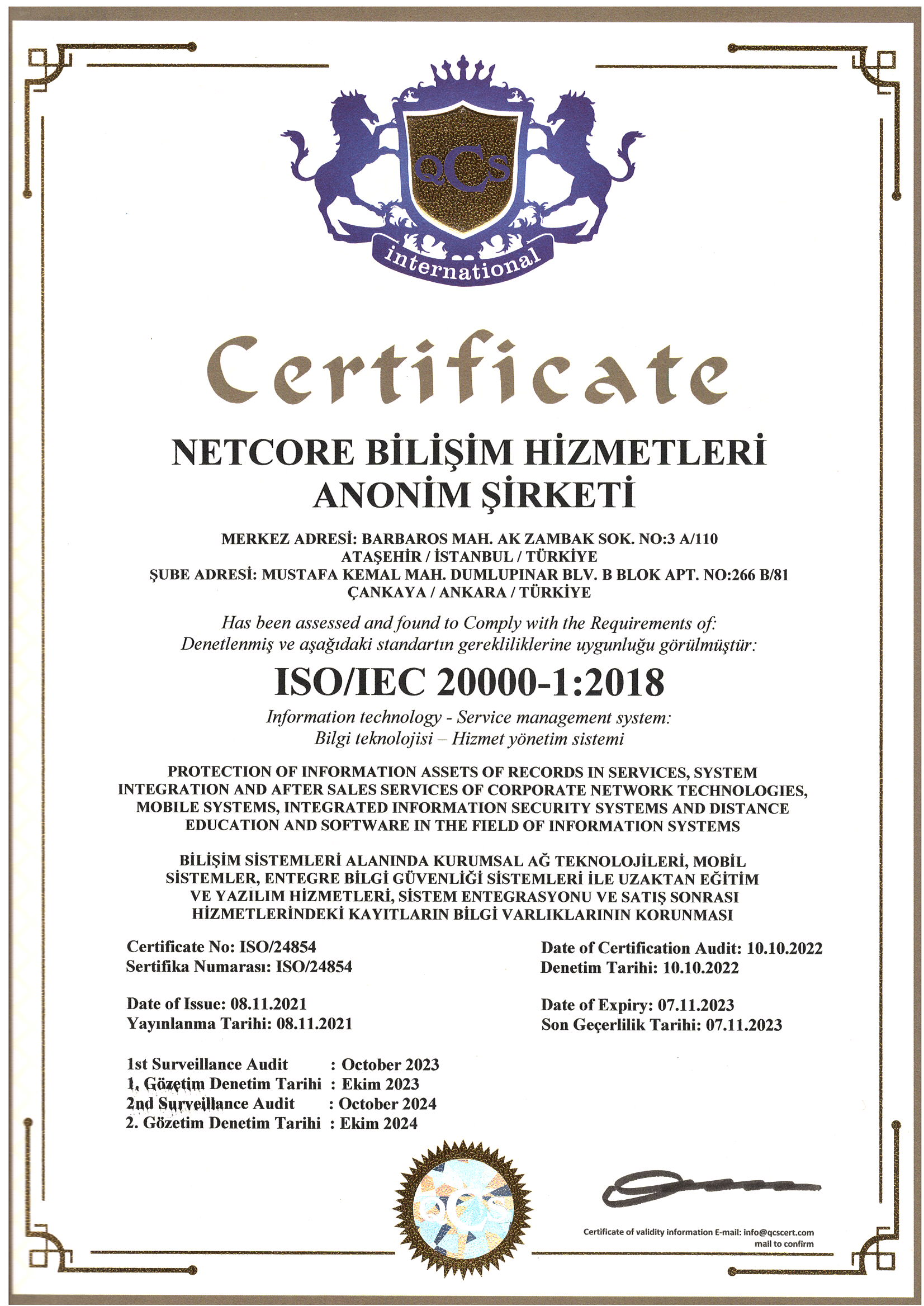 TS EN ISO 20001